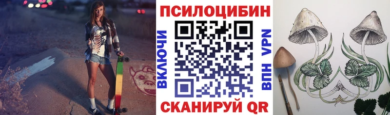 Псилоцибиновые грибы прущие грибы  кракен ССЫЛКА  Южно-Сухокумск  как найти закладки 